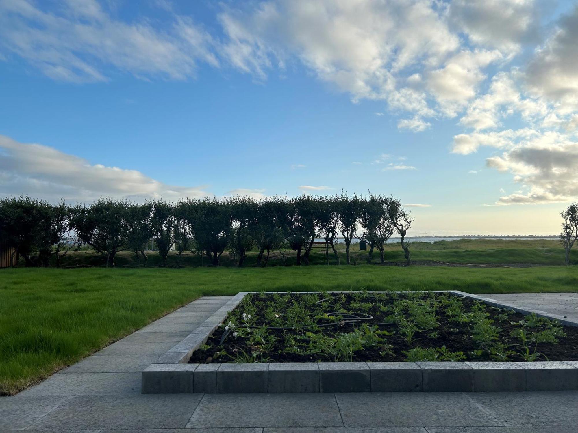 Sk52 By The Sea, Unique Spacious Luxury, Hg-17071 Reykjavik Ngoại thất bức ảnh